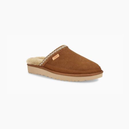 UGG Tasman Slip-On Brown Slippers for Men (AOSJ64315)